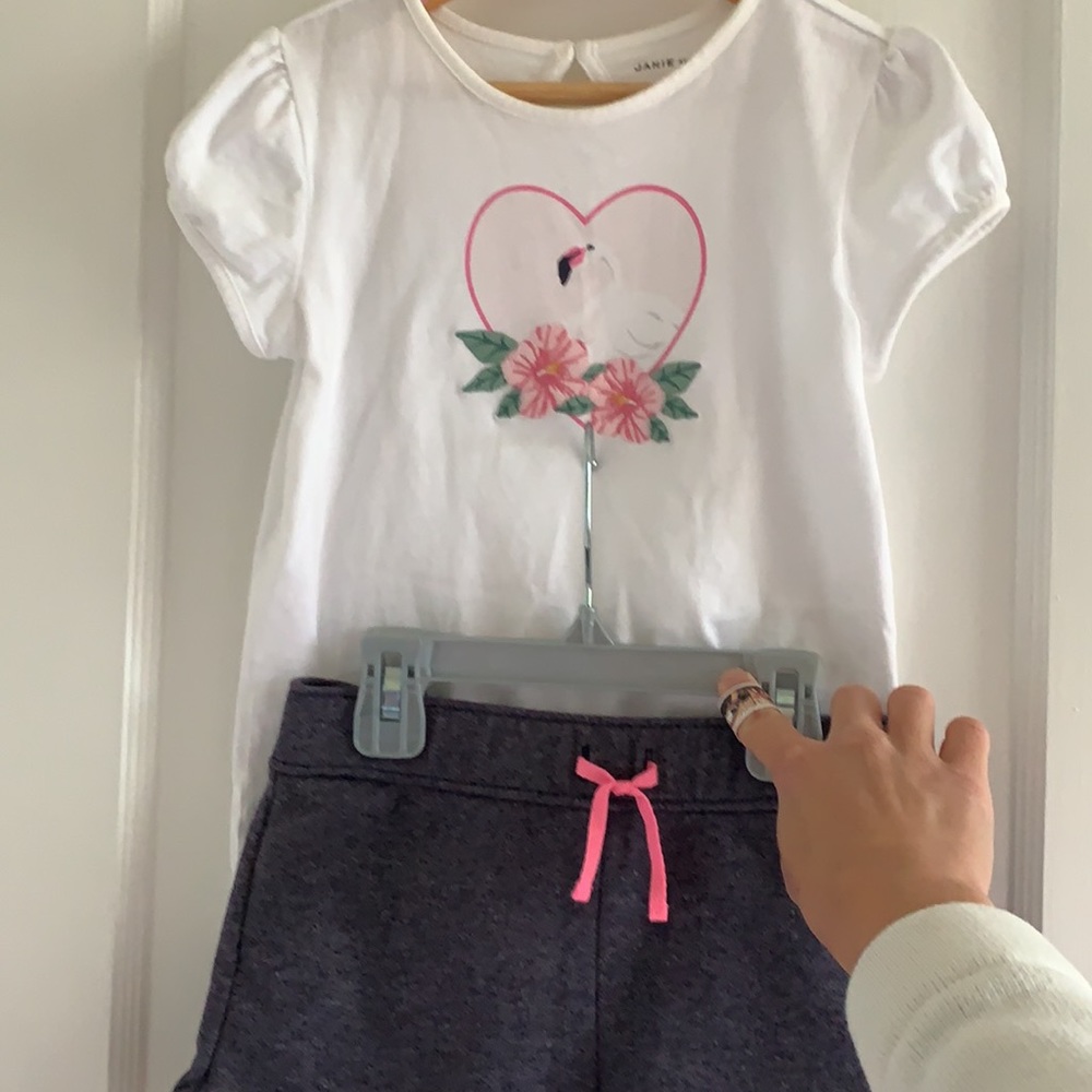 Janie and Jack flamingo short set